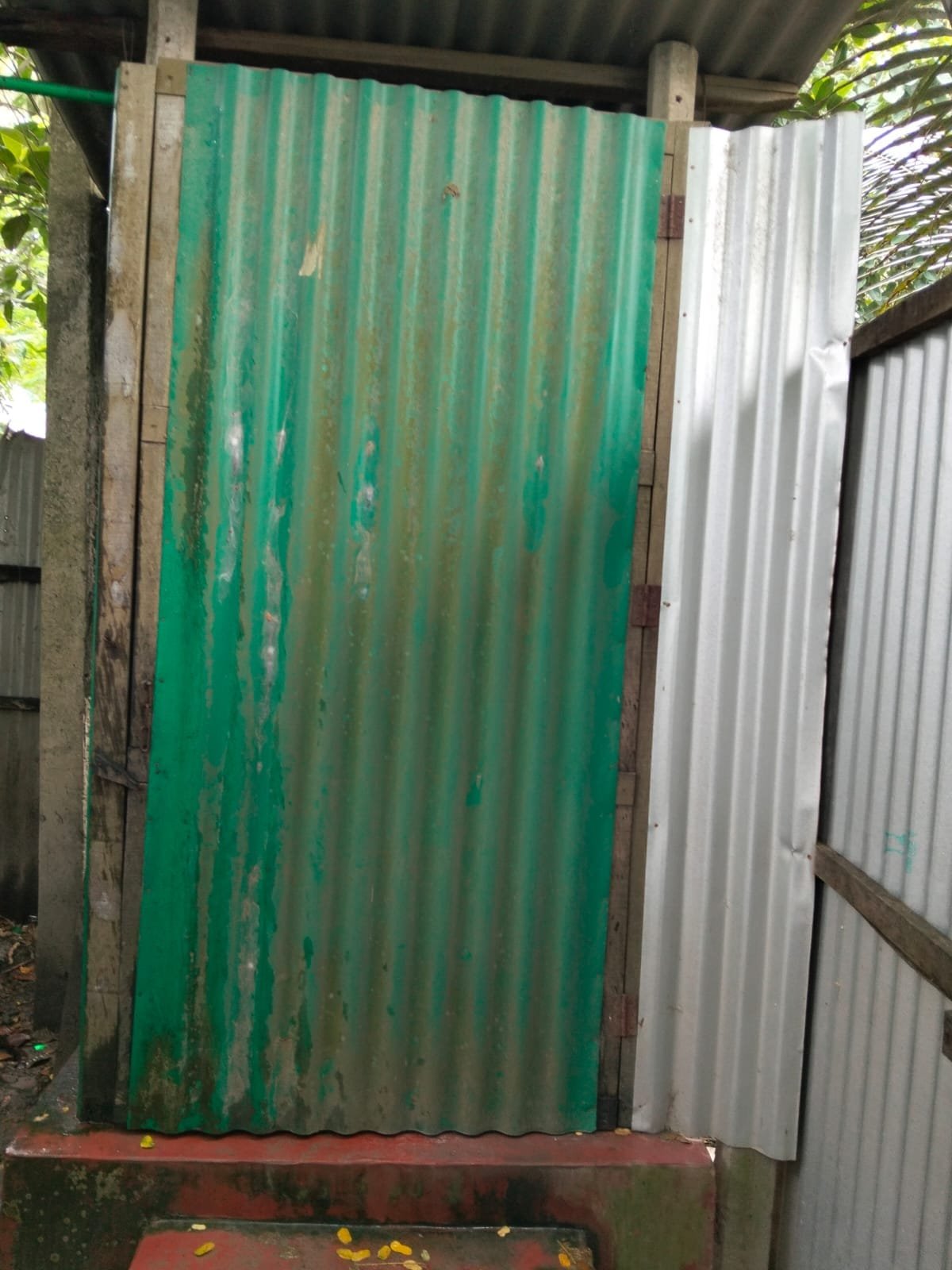 Older green tin latrine with weathered paint, new silver tin sheets fitted beside it.